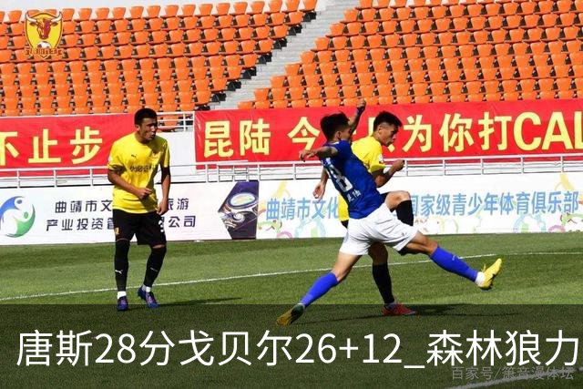 唐斯28分戈贝尔26+12 森林狼力克黄蜂4连胜